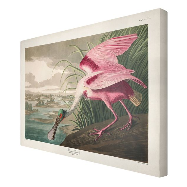 Print on canvas - Vintage Board Pink Sturgeon