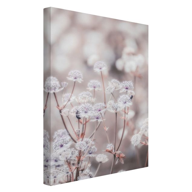 Canvas print - Wild Flowers Light As A Feather