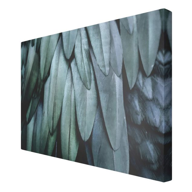 Canvas print - Feathers In Aquamarine
