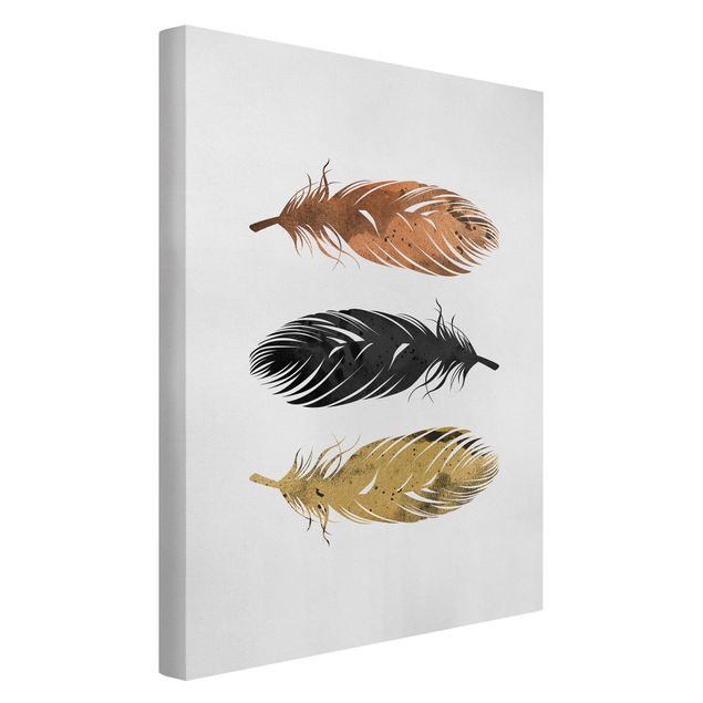 Canvas print - Feathers