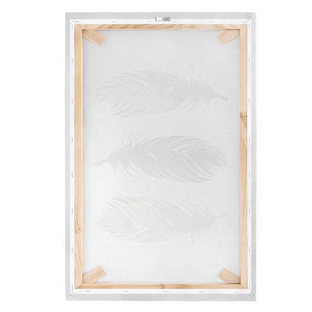 Canvas print - Feathers