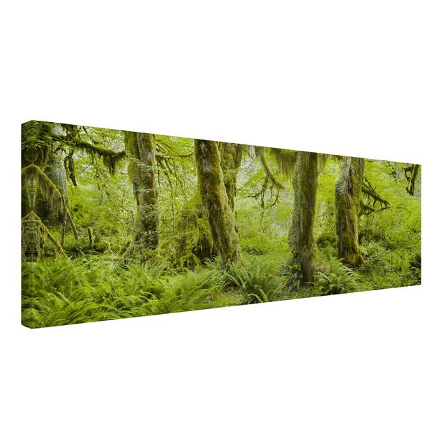Print on canvas - Hall Of Mosses Olympic National Park