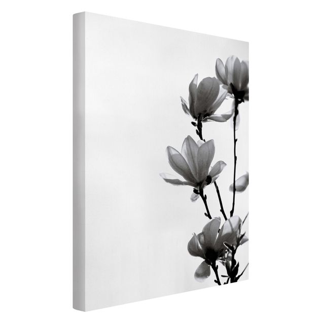 Canvas print - Herald Of Spring Magnolia Black And White