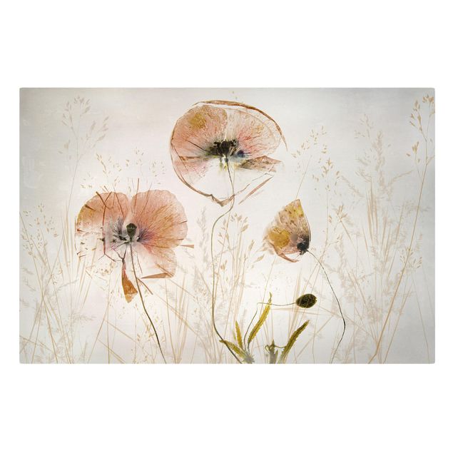 Canvas print - Dried Poppy Flowers With Delicate Grasses