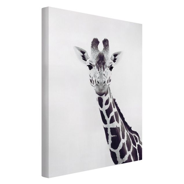 Canvas print - Giraffe Portrait In Black And White