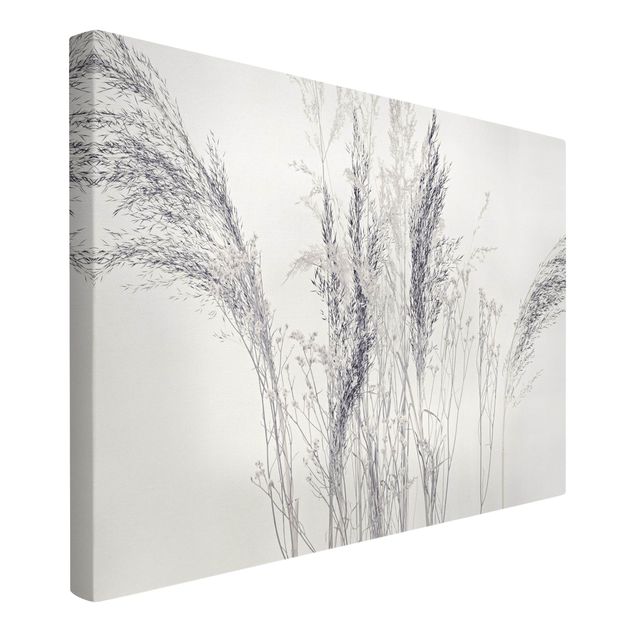 Canvas print - Variations Of Grass