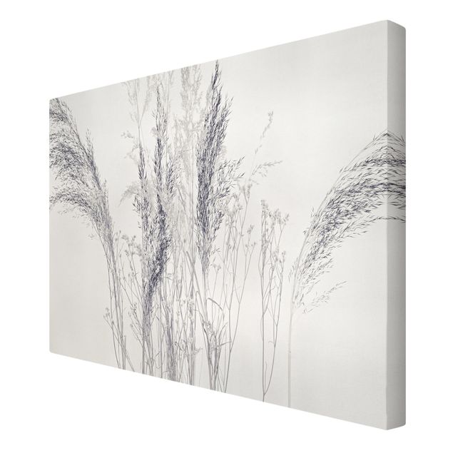 Canvas print - Variations Of Grass