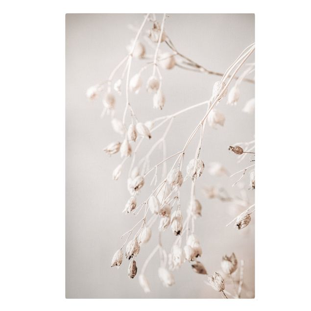 Canvas print - Hanging Dried Buds