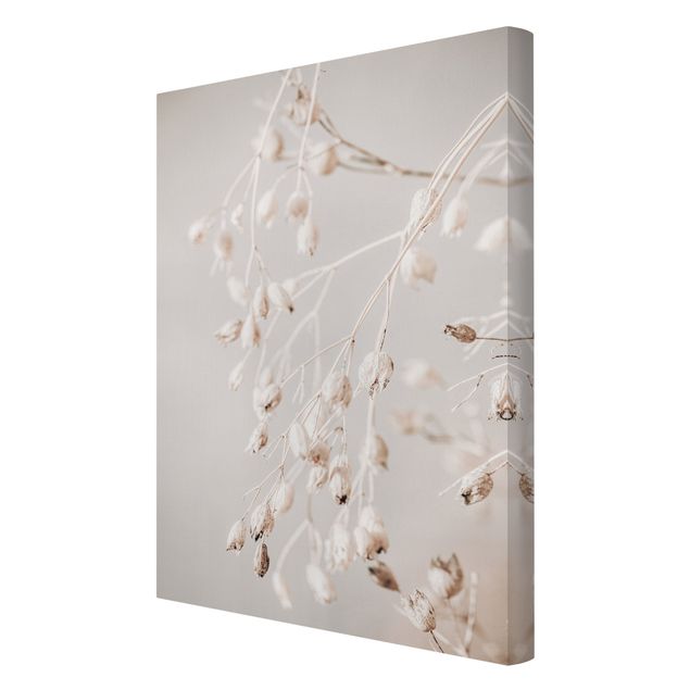 Canvas print - Hanging Dried Buds
