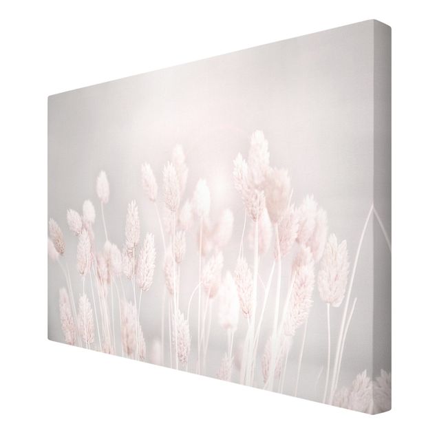 Canvas print - Pale Grass In Sunlight