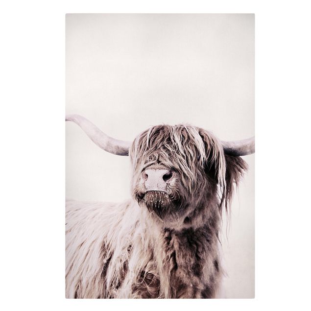 Canvas print - Highland Cattle Frida In Beige