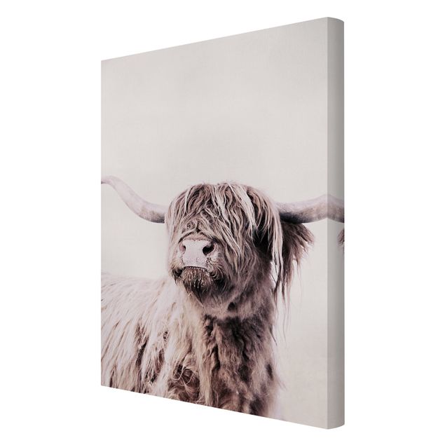 Canvas print - Highland Cattle Frida In Beige