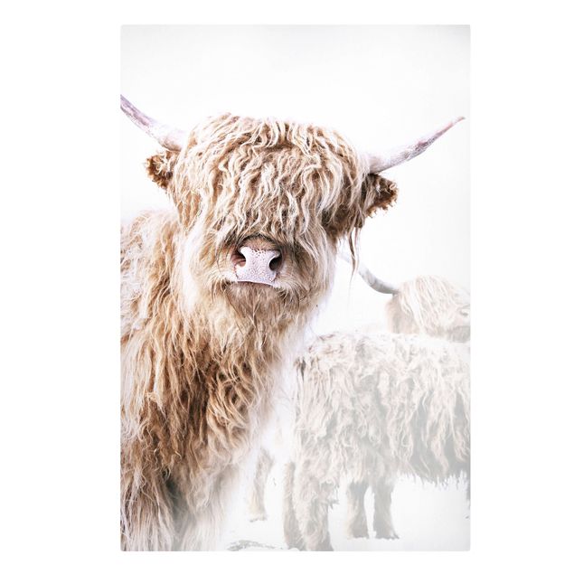 Canvas print - Highland Cattle Karlo