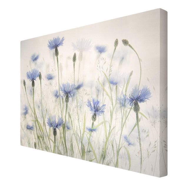 Canvas print - Cornflowers And Grasses In A Field