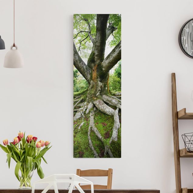 Print on canvas - Old Tree