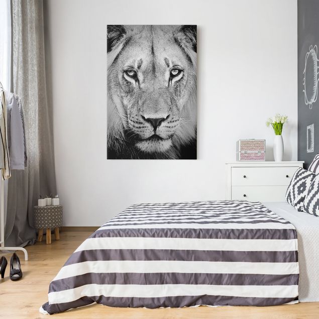 Print on canvas - Old Lion