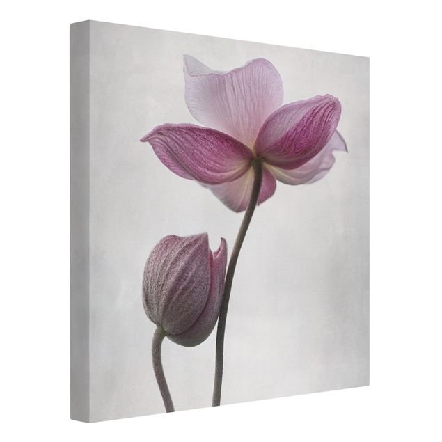 Print on canvas - Anemone In Light Pink