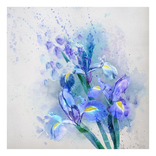 Print on canvas - Watercolour Flowers Iris