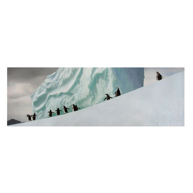 Print on canvas - Arctic Penguins