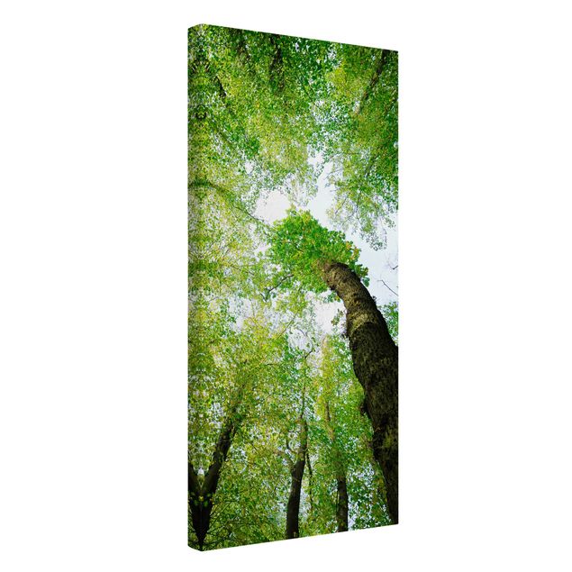 Print on canvas - Trees Of Life