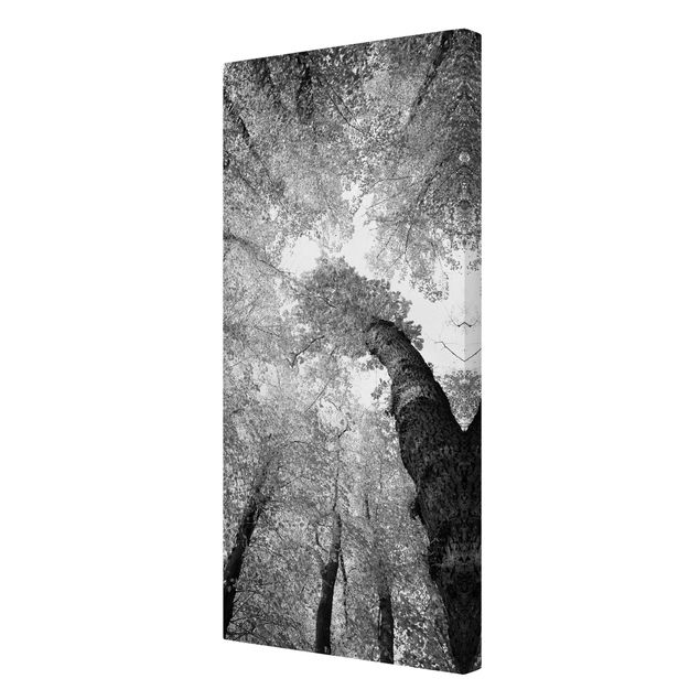 Print on canvas - Trees Of Life II