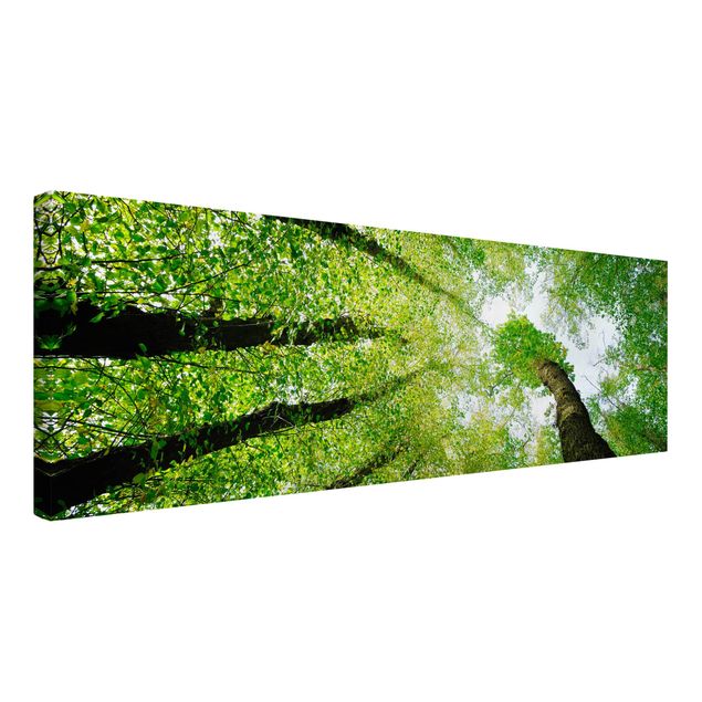 Print on canvas - Trees Of Life