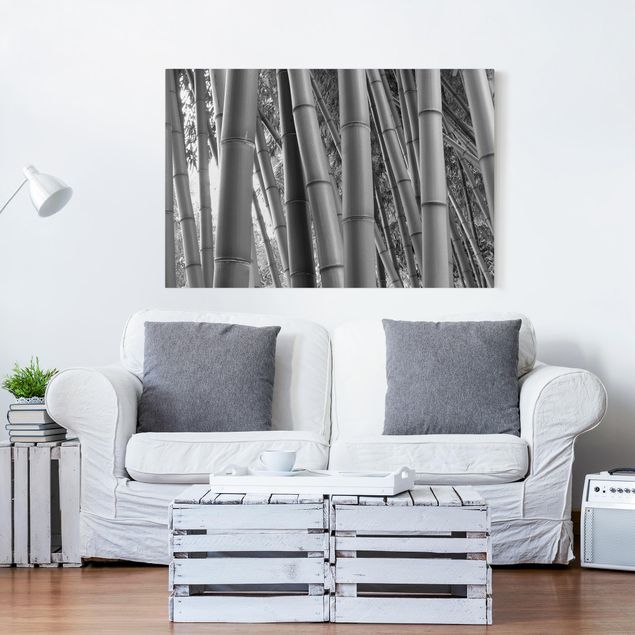 Print on canvas - Bamboo