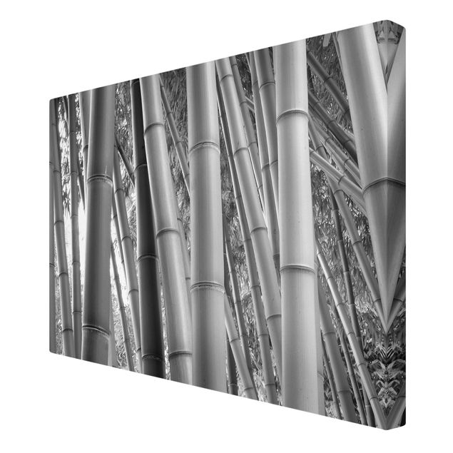 Print on canvas - Bamboo