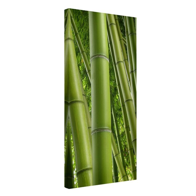 Print on canvas - Bamboo Trees