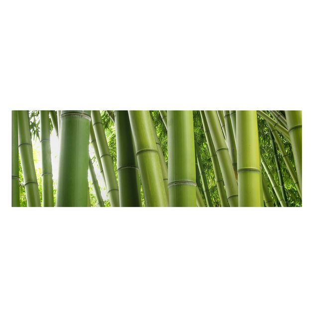 Print on canvas - Bamboo Trees