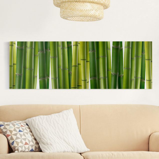 Print on canvas - Bamboo Plants