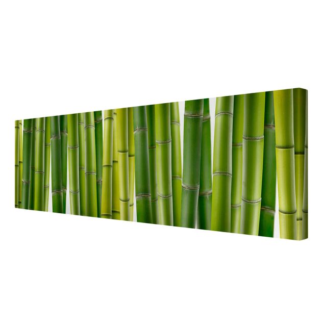 Print on canvas - Bamboo Plants