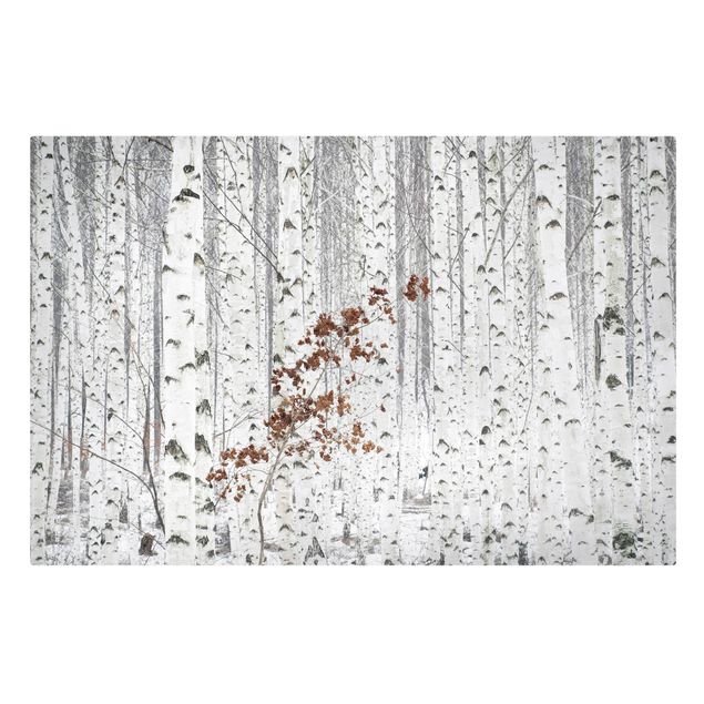 Print on canvas - Birch Trees In Autumn
