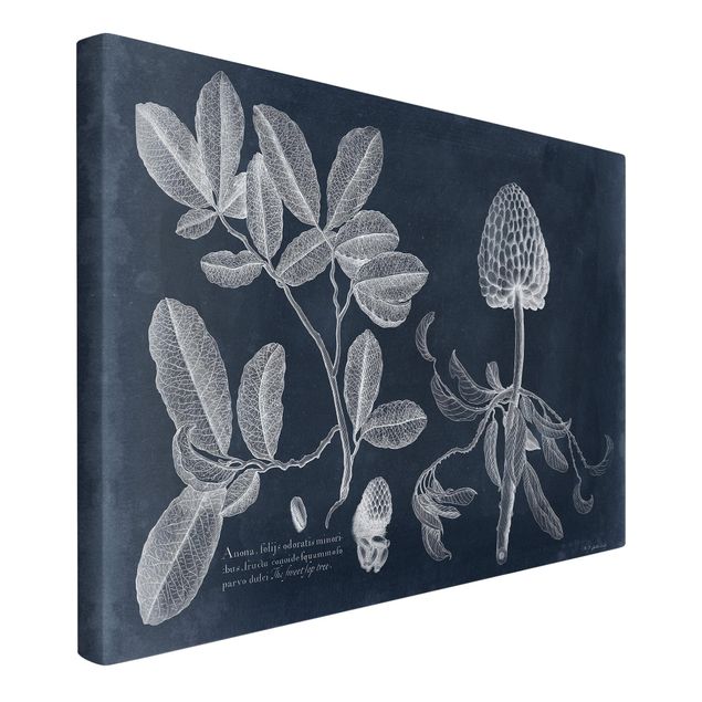Print on canvas - Foliage Dark Blue - Zimtapfel