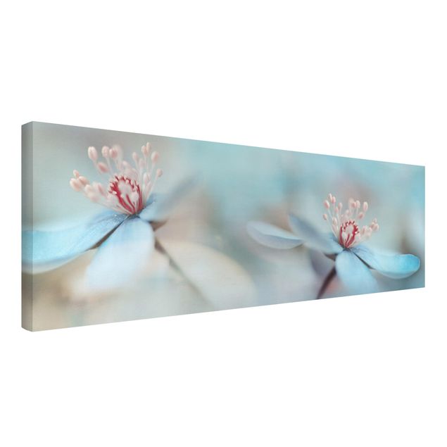 Print on canvas - Flowers In Light Blue
