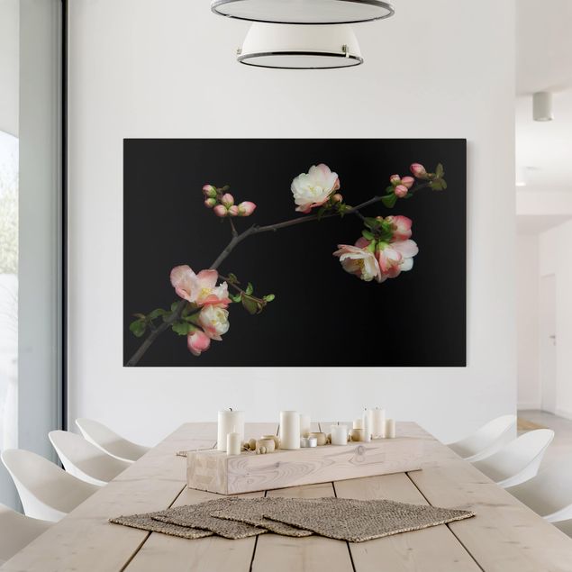 Print on canvas - Blossoming Branch Apple Tree