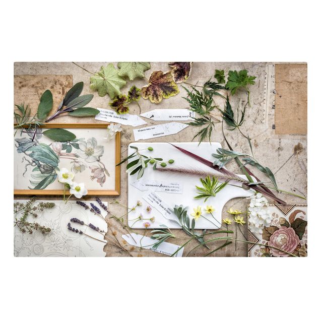Print on canvas - Flowers And Garden Herbs Vintage