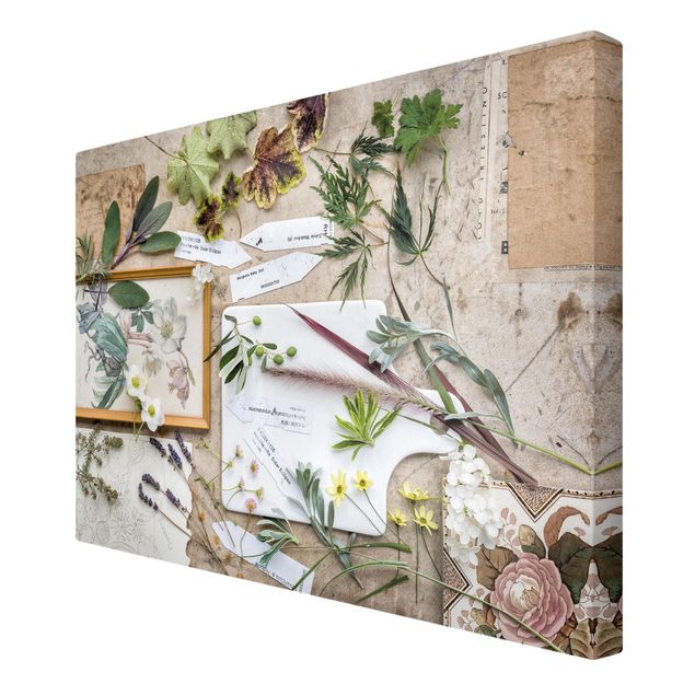 Print on canvas - Flowers And Garden Herbs Vintage