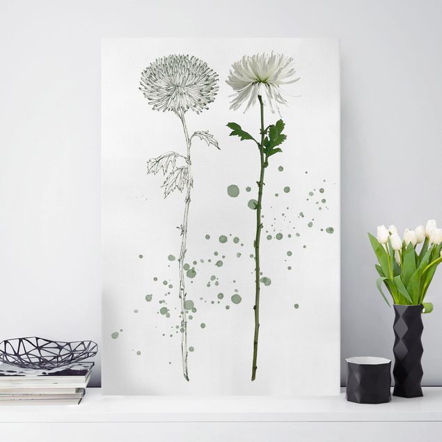 Print on canvas - Botanical Watercolour - Dandelion