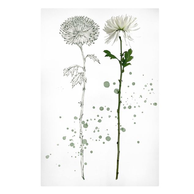 Print on canvas - Botanical Watercolour - Dandelion