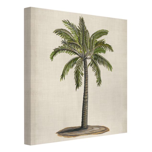 Print on canvas - British Palms I