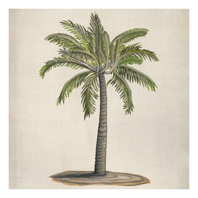 Print on canvas - British Palms I