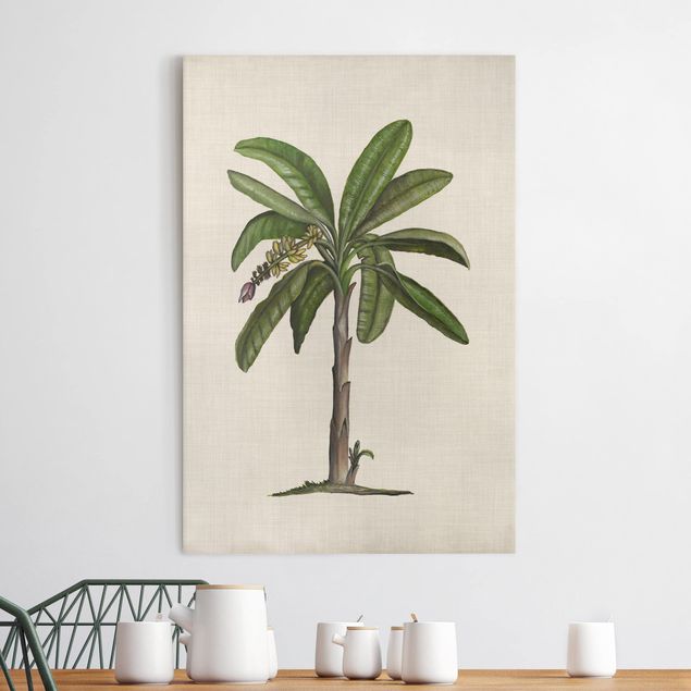 Print on canvas - British Palms II