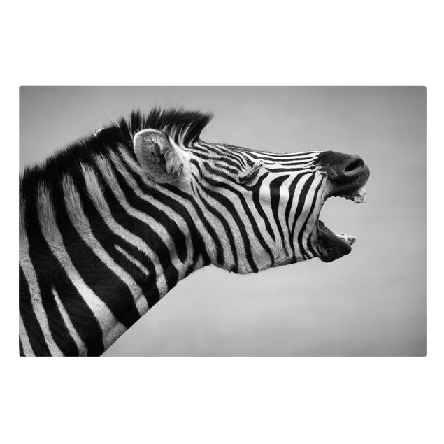 Print on canvas - Roaring Zebra ll