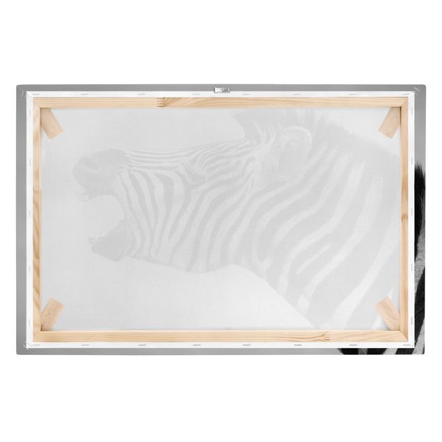 Print on canvas - Roaring Zebra ll