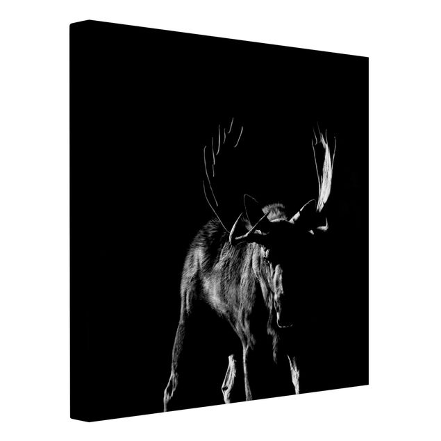 Print on canvas - Bull In The Dark