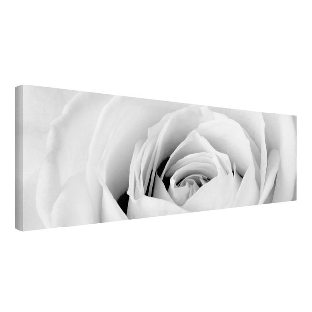 Print on canvas - Close Up Rose