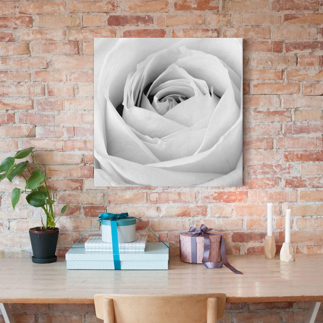 Print on canvas - Close Up Rose