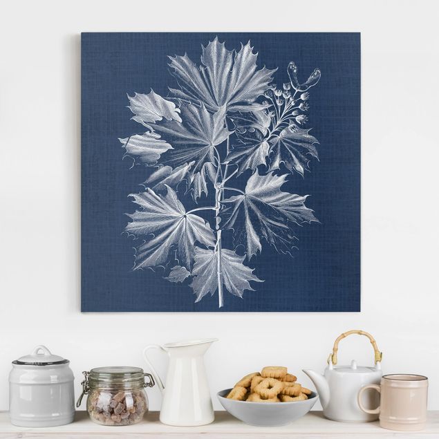 Print on canvas - Denim Plant Study V