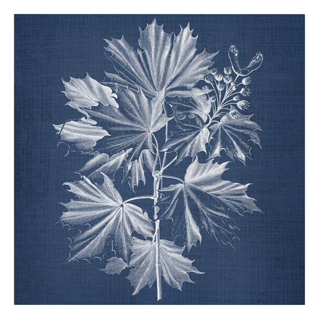 Print on canvas - Denim Plant Study V
